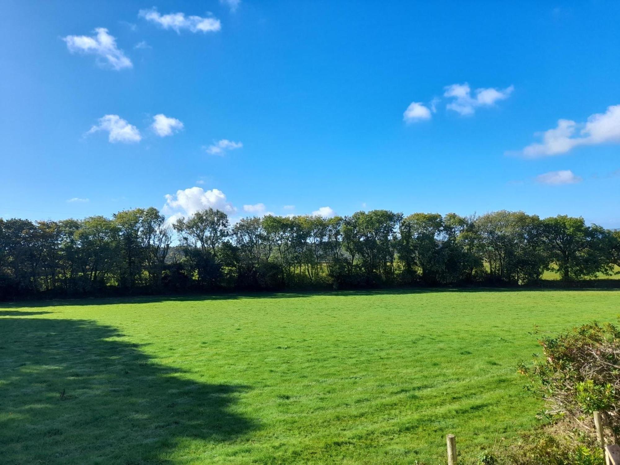 Fairwater Head Hotel Axminster Phòng bức ảnh